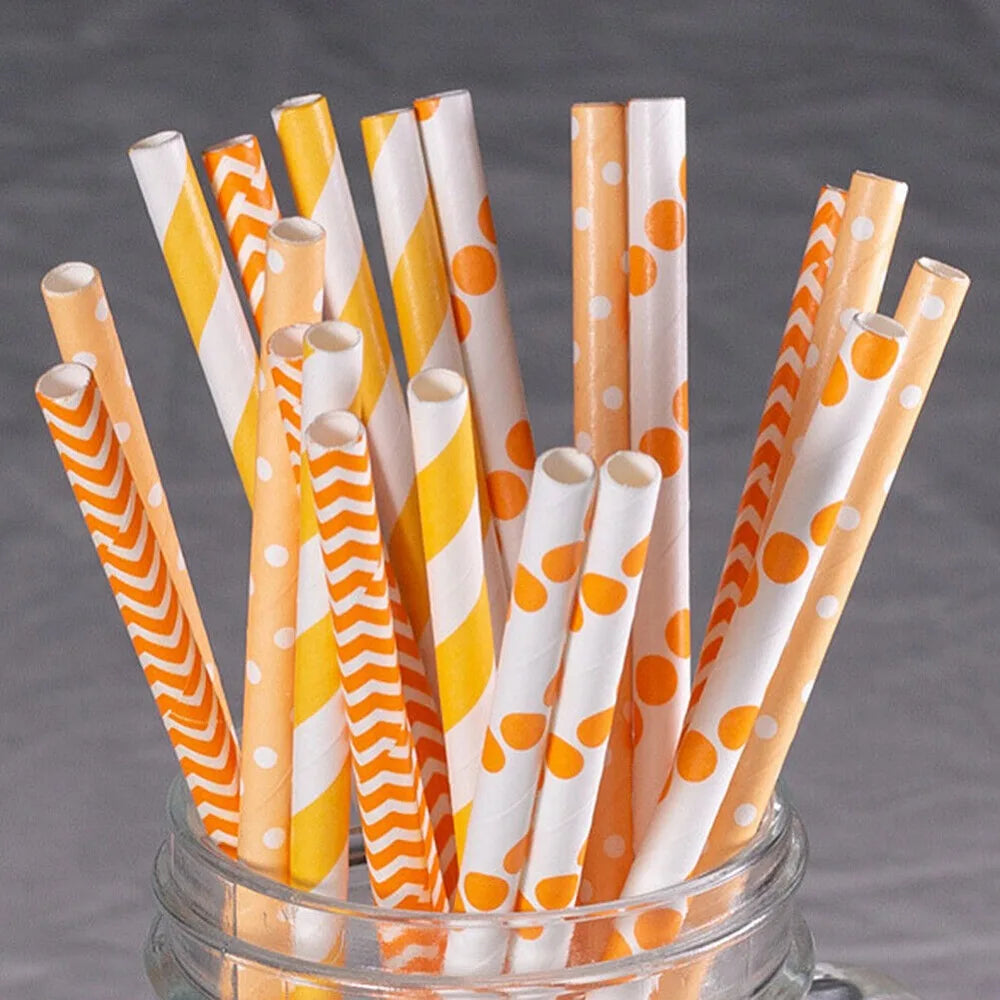 100 Bulk Packed Paper Straws Pattern Color -Biodegradable Drinking Straws Party Suppliers